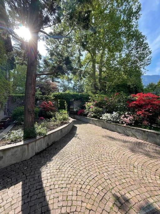Domus Aurea Apartment Bolzano Luaran gambar
